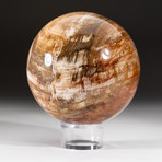 Polished Petrified Wood Sphere + Acrylic Display Stand V4