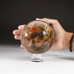 Polished Petrified Wood Sphere + Acrylic Display Stand V3