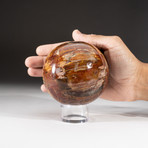 Polished Petrified Wood Sphere + Acrylic Display Stand V1