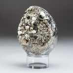 Polished Pyrite Egg + Acrylic Display Stand V2