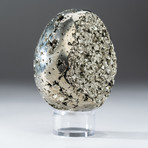 Polished Pyrite Egg + Acrylic Display Stand V3