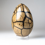 Polished Septarian Druzy Egg + Acrylic Display Stand V3