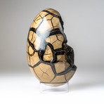 Polished Septarian Druzy Egg + Acrylic Display Stand V3