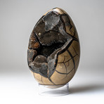 Polished Septarian Druzy Egg + Acrylic Display Stand V3