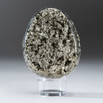 Polished Pyrite Egg + Acrylic Display Stand V3