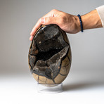 Polished Septarian Druzy Egg + Acrylic Display Stand V3