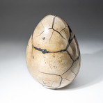 Polished Septarian Druzy Egg + Acrylic Display Stand V2