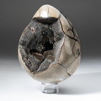 Polished Septarian Druzy Egg + Acrylic Display Stand V1