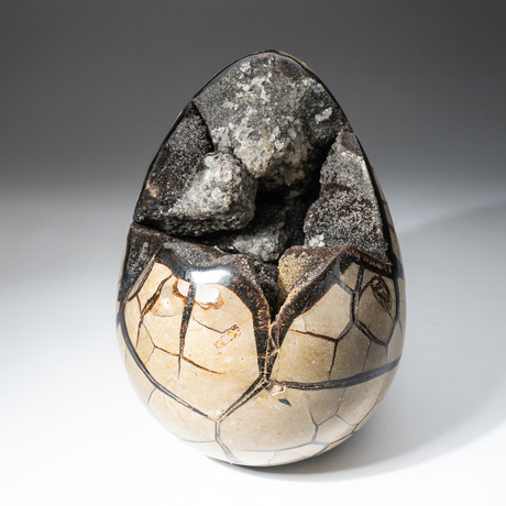 Polished Septarian Druzy Egg + Acrylic Display Stand V2