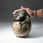 Polished Septarian Druzy Egg + Acrylic Display Stand V2