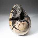 Polished Septarian Druzy Egg + Acrylic Display Stand V2