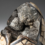 Polished Septarian Druzy Egg + Acrylic Display Stand V2