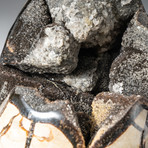 Polished Septarian Druzy Egg + Acrylic Display Stand V2