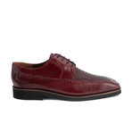 Tyson Shoes // Burgundy (US: 8)