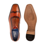 Corey Shoes // Honey (US: 8)