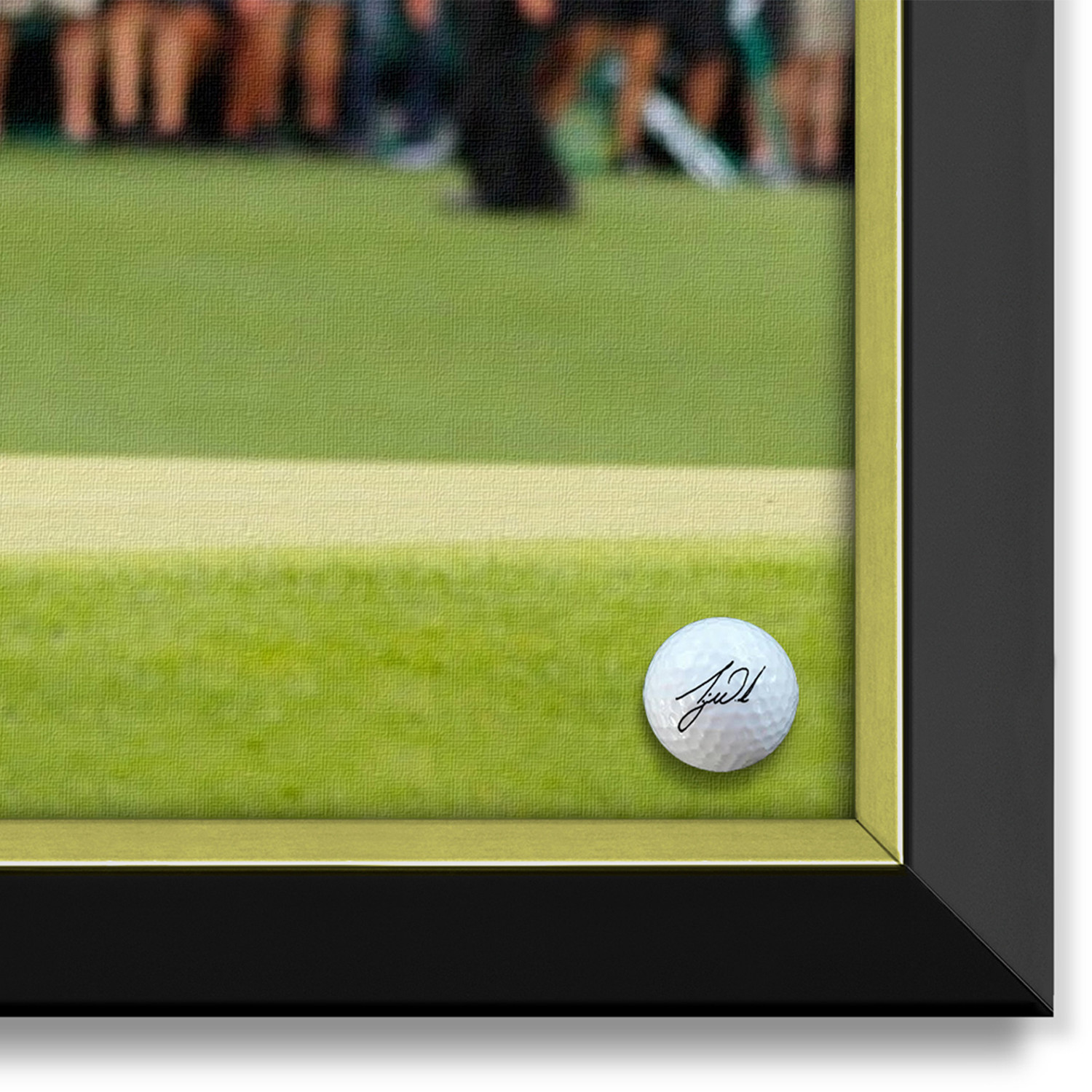 Tiger Woods // Masters Champion Facsimile Signed Golf Ball // Framed ...