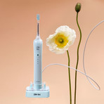 Ionic Powered Electric Toothbrush // Lake Blue