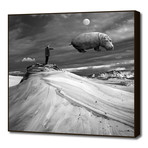 Tamer (16"W x 16"H x 1.5"D)