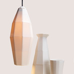 Extension 2 Pendant Light