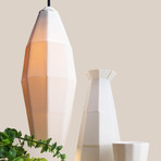 Extension 2 Pendant Light