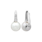 Assael 18k White Gold South Sea Pearl Earrings I // Store Display