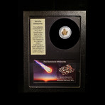 Sericho (Pallasite) Meteorite in Collector's Box