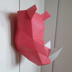CARAPACES Design Puzzle // Pink