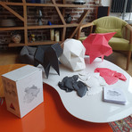 CARAPACES Design Puzzle // Pink