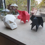 CARAPACES Design Puzzle // Pink