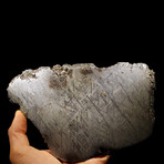 Muonionalusta Meteorite Slice // Ver. IV