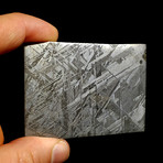 Muonionalusta Meteorite Slice // Ver. III