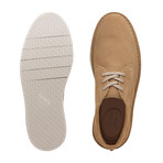 Clarks Collection // Forge Vibe // Dark Sand Suede (US: 8)