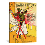 Suffragette City // Todd Alcott (26"W x 40"H x 1.5"D)