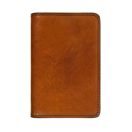 Gulliver's Travels // Leather Passport Holder (Small // Dark Brown)