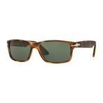 Men's 3154 Sunglasses // Tortoise + Green