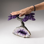 The Protection Tree // Custom Amethyst Tree + Amethyst Matrix // V4