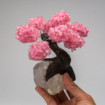 The Tree of Light // Rose Quartz Tree + Quartz Crystal // Medium