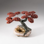 The Safety Tree // Custom Red Jasper Tree + Citrine Matrix // V2