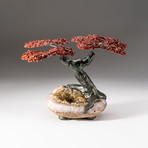 The Safety Tree // Custom Red Jasper Tree + Citrine Matrix // V2