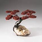 The Safety Tree // Custom Red Jasper Tree + Citrine Matrix // V5