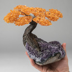 The Money Tree // Custom Citrine Tree + Amethyst Tree // V1