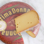 Artisan Cheese Collection // Set of 9 // 5.3 lb