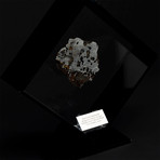 Seymchan Olivine Meteorite // Magadanskaya Oblast // Black Acrylic Display // Ver. 4