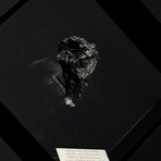 Sikhote Alin Meteorite // Siberia // Black Acrylic Display // Ver. 2