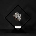 Seymchan Olivine Meteorite // Magadanskaya Oblast // Black Acrylic Display // Ver. 4