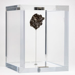 Sikhote Alin Meteorite // Siberia // Large Space Box