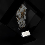 Seymchan Olivine Meteorite // Magadanskaya Oblast // Black Acrylic Display // Ver. 6
