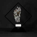 Seymchan Olivine Meteorite // Magadanskaya Oblast // Black Acrylic Display // Ver. 6