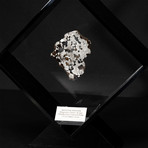 Seymchan Olivine Meteorite // Magadanskaya Oblast // Black Acrylic Display // Ver. 5