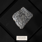 Seymchan Meteorite // Magadanskaya Oblast // Black Acrylic Display // Ver. 2